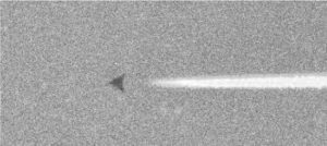 17399143471203511985_2