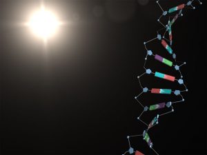 6a00d8341bf7f753ef01a3fc7f5d2a970b-800wi