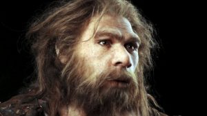 88317142_c0263775-neanderthal_model-spl