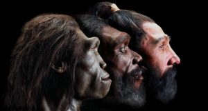 HallofHumanOrigins2