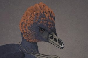 chicken-dino-beak-velociraptor-670-2