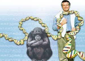 human_primate_dna