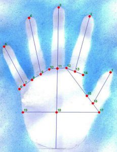 image-20161220-26710-1umes6m-Copy