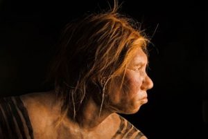 zyjknqtpnlev04tl9kmf