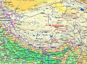 2428287254_fb4c2a31bf