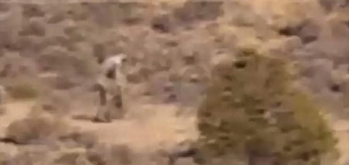 موجودی عجیب و ناشناخته در صحرای پرتغال دیده شد