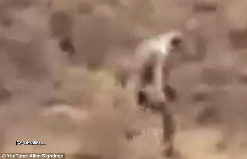 موجودی عجیب و ناشناخته در صحرای پرتغال دیده شد