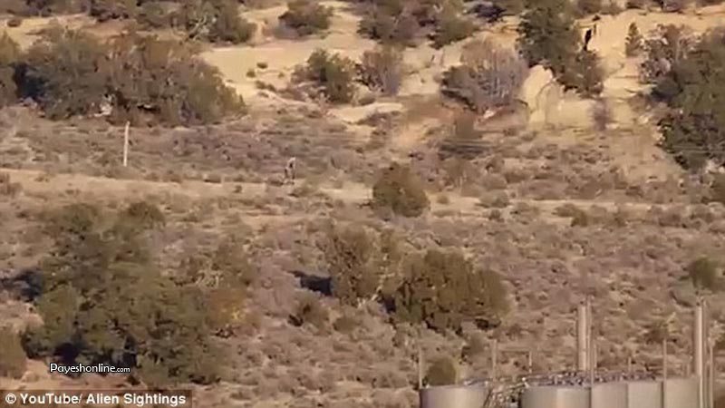 موجودی عجیب و ناشناخته در صحرای پرتغال دیده شد