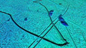 631a0-mysteriouslinesnorweagiansea