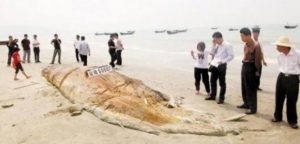 6a00d8341bf67c53ef0154333ccd10970c