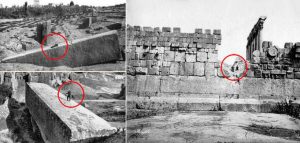 965b2-943722_10153359063475467_1462378251_n