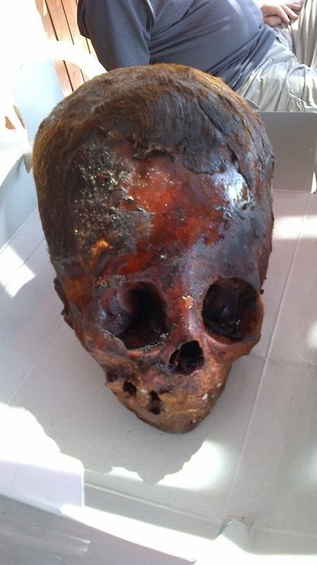 جمجمه های بزرگ و دراز