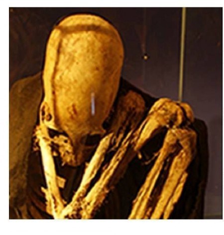 جمجمه های بزرگ و دراز