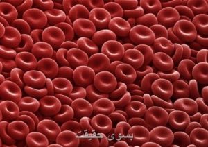 SEM_blood_cells_e1283804976882