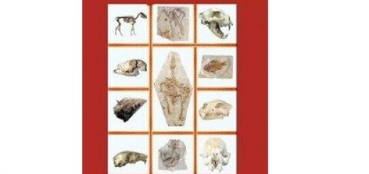 چالشهای پیش روی نظریه تکامل