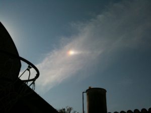 argentina2bufo2bpuerto2besther-3