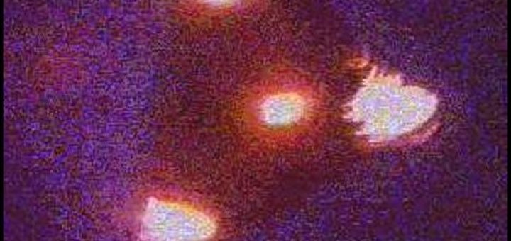 حادثه ی مشهور موج بلژیکی