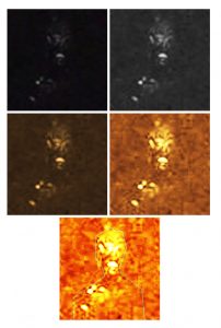 cave-reptilian-alien-analyzed