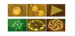 crop-circle1