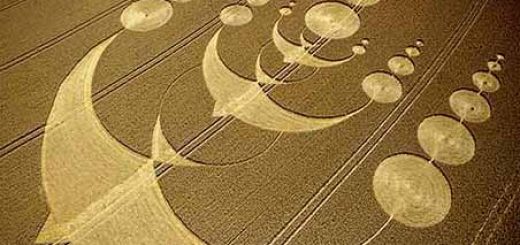 این طرح سه پرنده در سوم آگوست ۲۰۰۳ در شهر ویلتشیر انگلیس ایجاد شد. این پرنده ها که به پرستو شباهت دارند، حلقه هایی نزولگرا هستند که پشت انتهای بال شان کشیده شده اند.