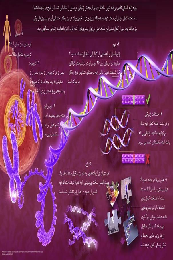 پژوهشی درباره پیشینه DNA ، سومریان و DNA