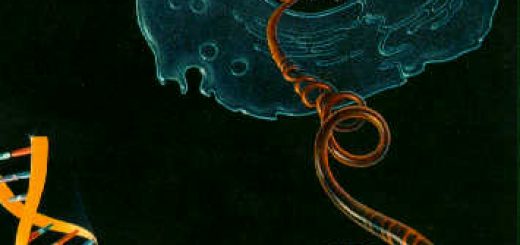 پژوهشي درباره پيشينه DNA ، سومريان و DNA