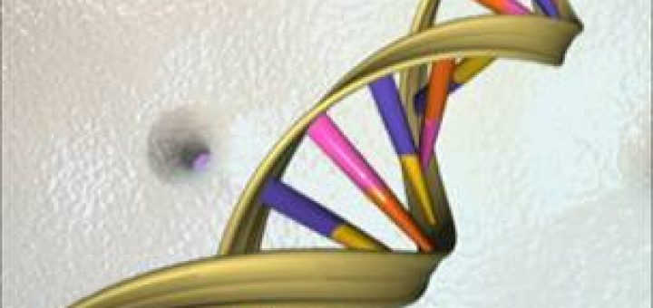 پژوهشي درباره پيشينه DNA ، سومريان و DNA