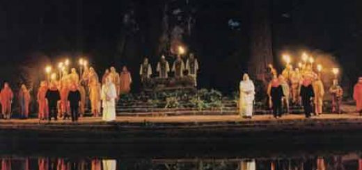 سازمان بسیار مخوف و گسترده » بوهمیان گراو