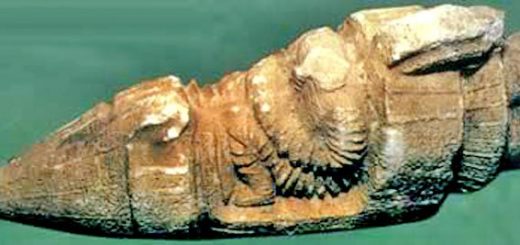 فضاپیمای باستاني