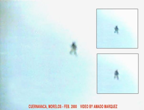 موجود فضایی پرنده از سوریه تا مکزیک