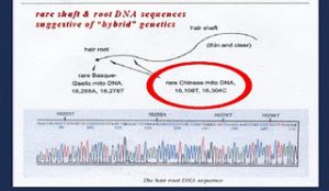 pkhairdnaresultssummary