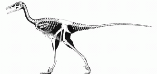 معمای حل نشده در باره ی ريتويدها، خزندگان انسان‌نما