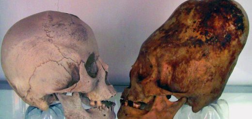 جمجمه های بزرگ و دراز