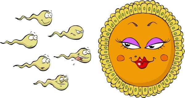 عدم توانایی در ایجاد حس برانگیختگی:ناباروری