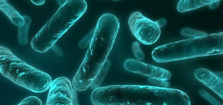 کشف نوعی باکتری که در برابر تمامی آنتی بیوتیک‌ها مقاوم است