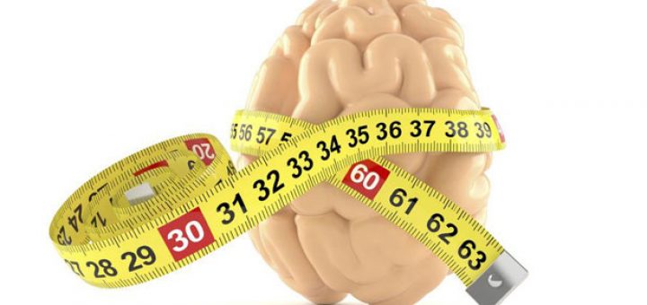 آیا اندازه مغز در میزان بهره هوشی تاثیر گذار است ؟