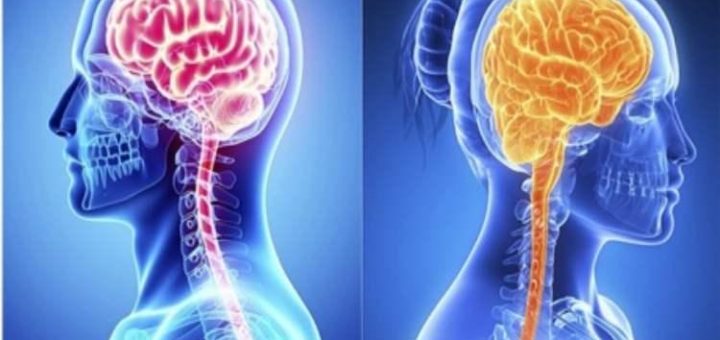 تفاوت هایی جالب بین خانم ها و آقایان