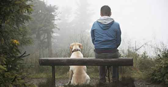 دردسرهای همسر ماجراجو