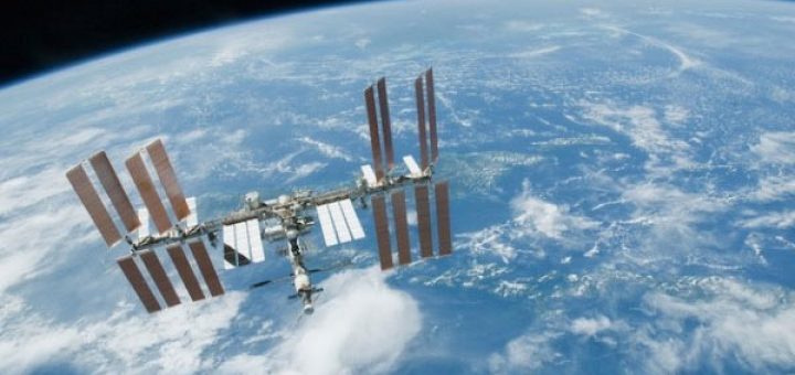 ناسا در فضا کاهو مي کارد !