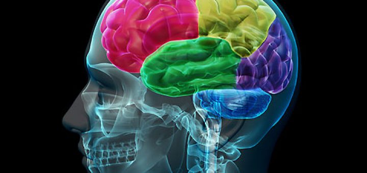 در طول اُرگاسم در مغز چه اتفاقي مي‌افتد؟