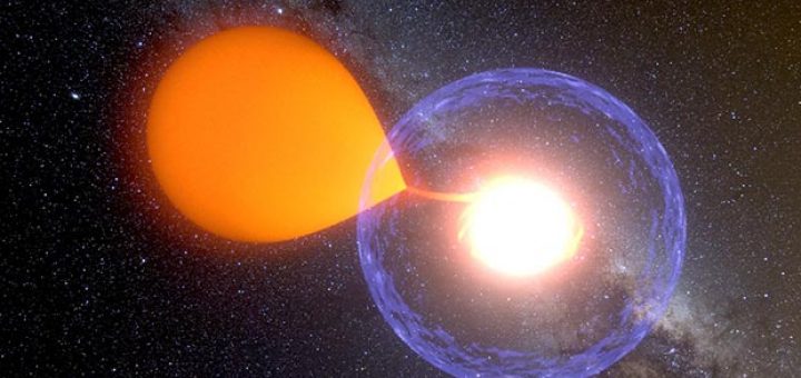 کوتوله سفید