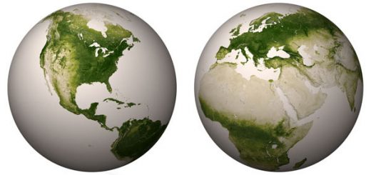 نقشه پوشش گياهاي کره زمين