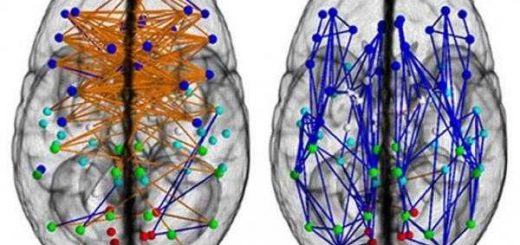 پنج تفاوت فیزیولوژیک زن و مرد
