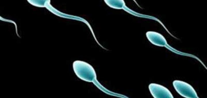 عوامل موثر بر تقویت جنسی