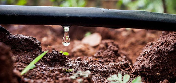 سیستم آبیاری موضعی