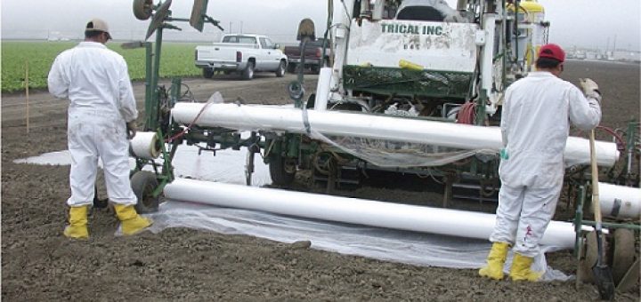 ضد عفونی خاک