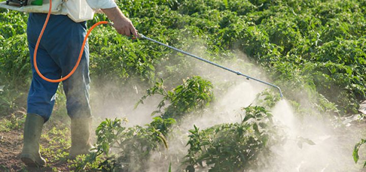 تاثیر آب بر عملکرد آفت کش ها