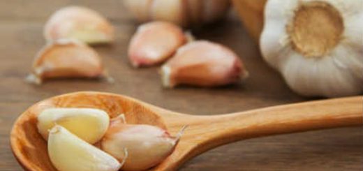 کنتزل اشتها