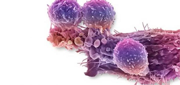 فناوری کریسپر