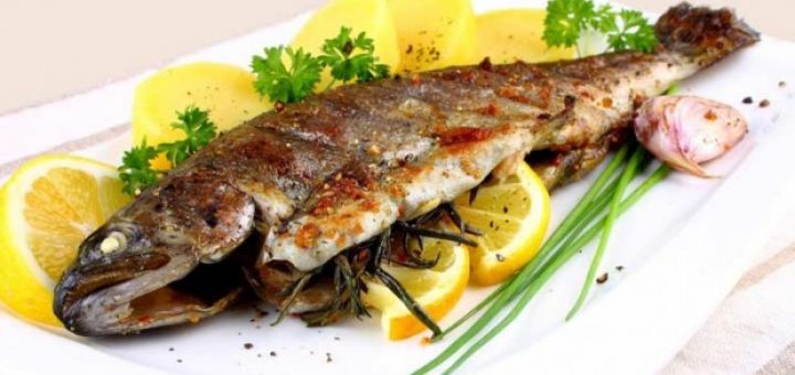 روغن ماهی غنی از DHA بخورید